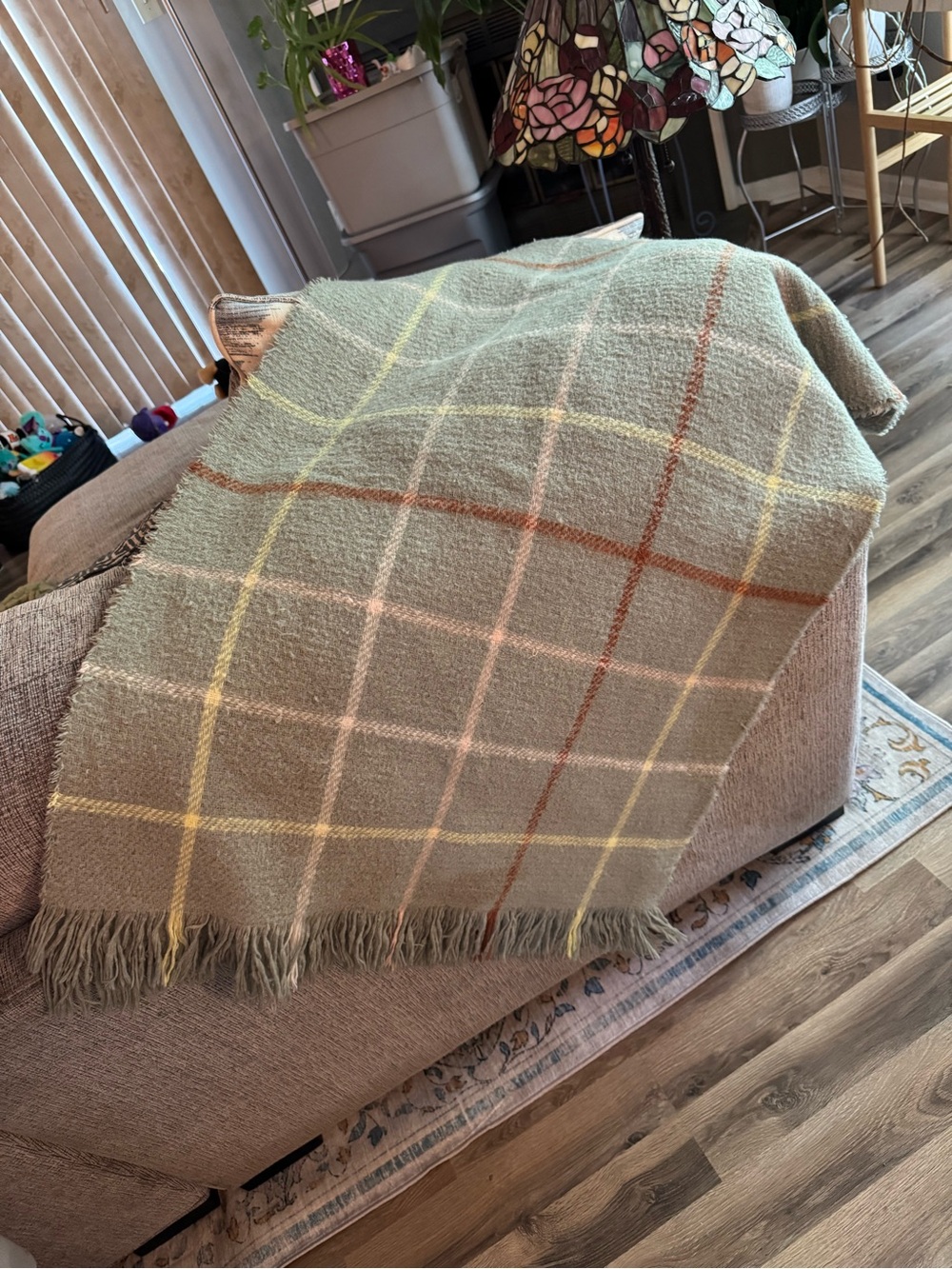 Soft Sage Green Plaid Fringe Scarf